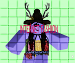 Internet Fashion