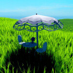 Echidna's Tea party☕