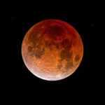 The LunarEclipes Group