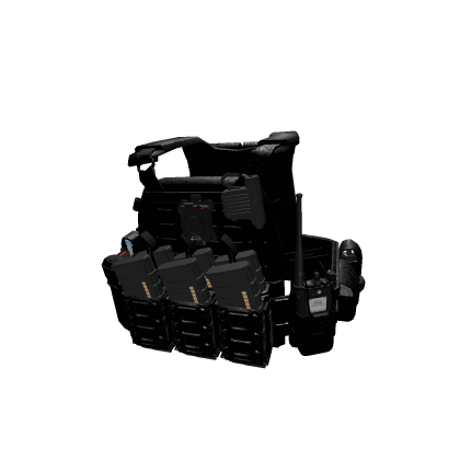 Police Plate Carrier 1