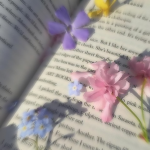 a fairy garden