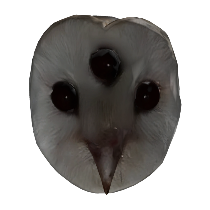 Three Eyed Owl Watcher Mask