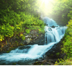 Kitkat_plays fan group