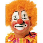 The Roblox Clowns