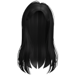 Black Straight Long Hair