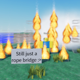 Untitled Rope Bridge