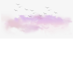 Tweet Tweet :3