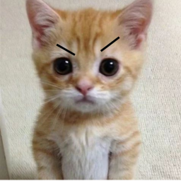ESCAPA DEL GATO😭