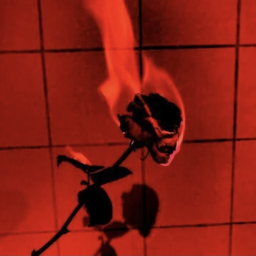 you