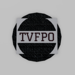 The V&F Paramilitary Organization
