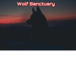 Wolf sanctuary