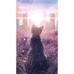 Friendship kitty loyalty power
