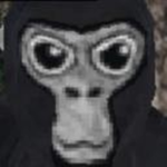monke clothes lol