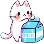 Cat and milk fans