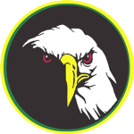 Black Eagle Platoon