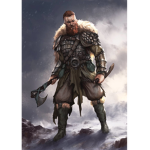 Viking Team