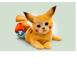 POKE CLUB!!!