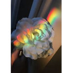 Retro-Pride