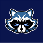 raccoon skuad_58