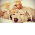 trust and friends only