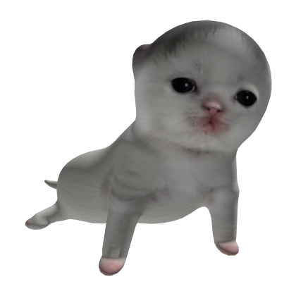 Tagoh Kitten Kittpid Cat on Head 