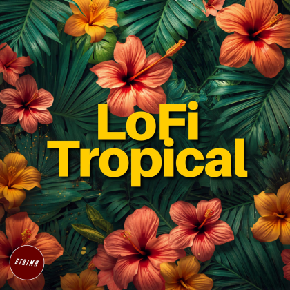 ISLAND BREEZE Roblox music