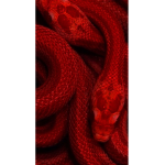 L0n3ly_Bxbbl3s