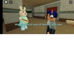 Soyblue fans