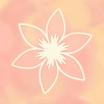 Little Wish Boutique