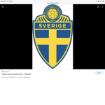 Sweden FC