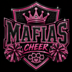 BSB CHEER TEAM