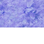 Purple squad bear
