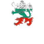 Bulgarian Lions Battalion