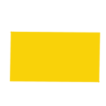 Yellow carpet studio