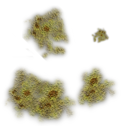 Square Decal