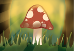 My Tiny Toadstools