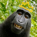 Jeff The Monke Army