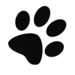 THE AMAZING ANIMALS :3