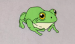 Jim frog Studios