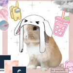 Bun buns bunny squad