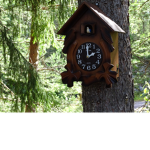 BEAR___GROUP!1234