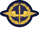 Reinforced Regional Task Force | SWE