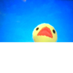 DuCkS _UnItEd