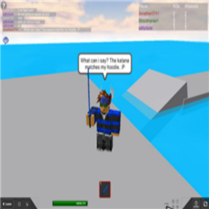 What? It Matches my Hoodie!!! :D Roblox decal