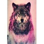 Wolf Pack Forever <3