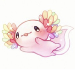 Axolotl fall