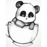 panda love <3 <3