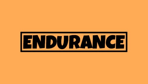 RMP's Endurance