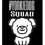 #YORKIEDOGSQUAD
