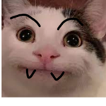 BELUGAA~